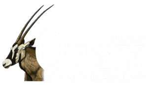 ORYX Sudamérica